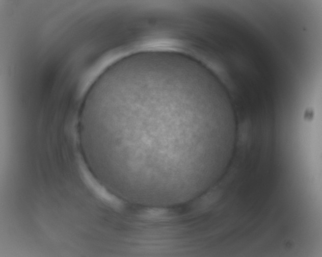 X0000114171470200910151625