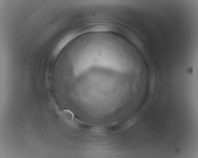 X0000114171473200910151625