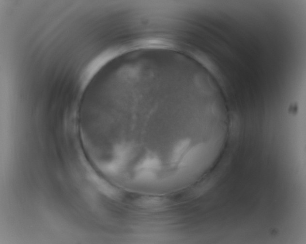 X0000114171474200910151625