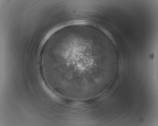X0000114171475200910151625