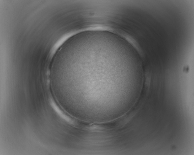 X0000114171476200910151625