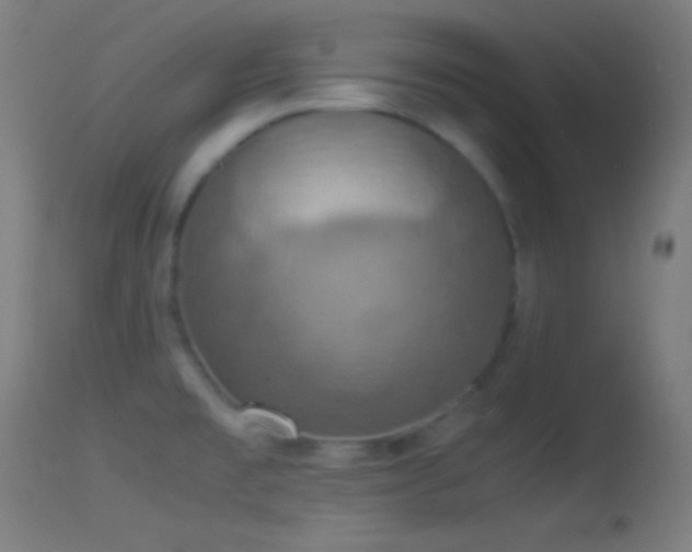 X0000114171477200910151625