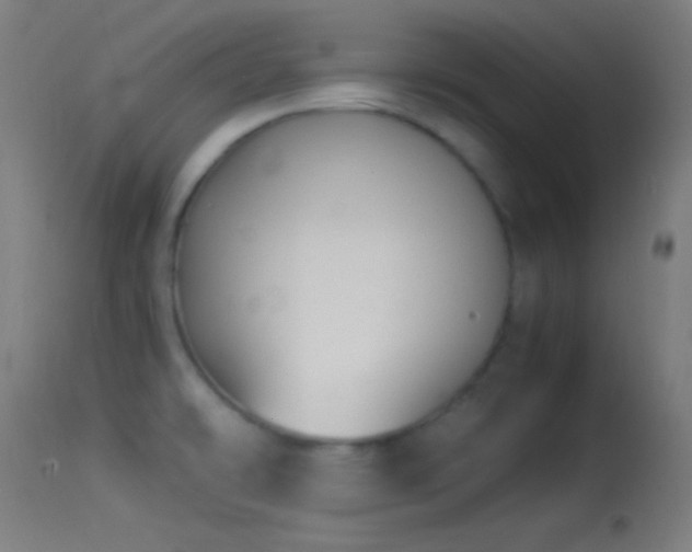 X0000114171478200910151625