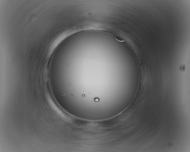 X0000114171479200910151625