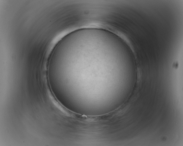 X0000114171480200910151625
