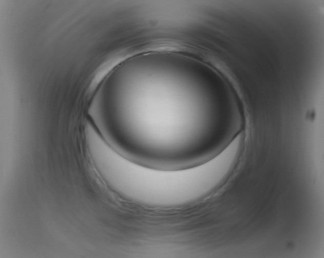 X0000114171481200910151625