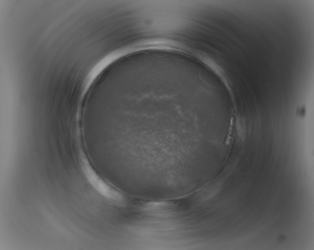 X0000114171482200910151625