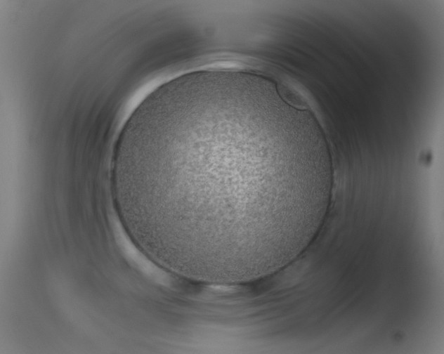 X0000114171483200910151625