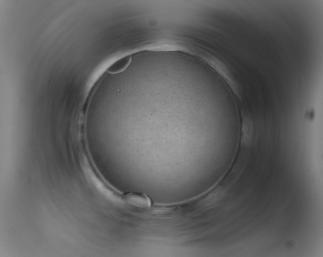 X0000114171484200910151625