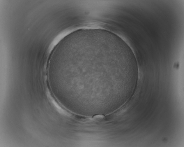 X0000114171485200910151625