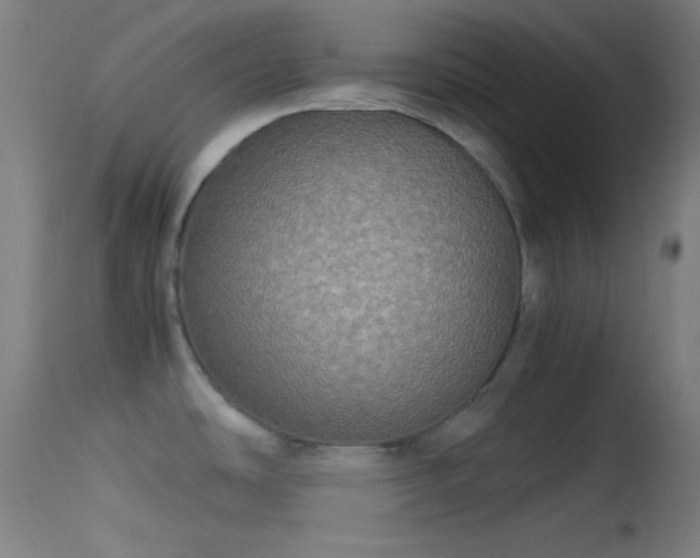 X0000114171486200910151625