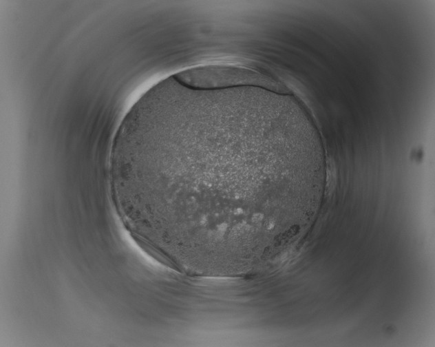 X0000114171487200910151625