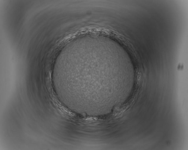 X0000114171489200910151624
