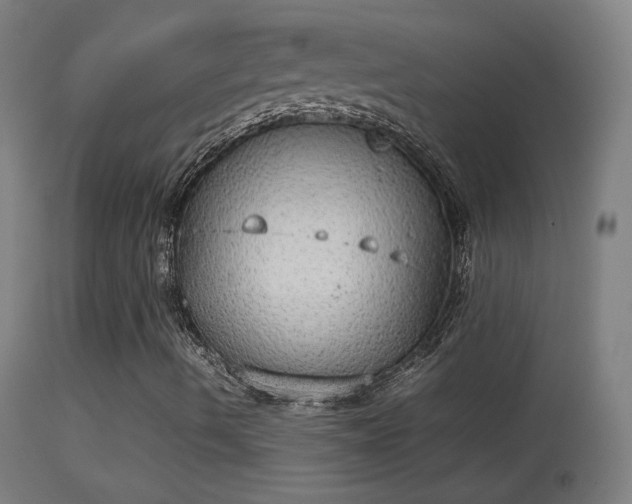 X0000114171490200910151624