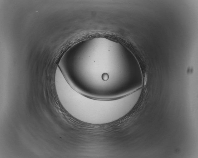 X0000114171492200910151624