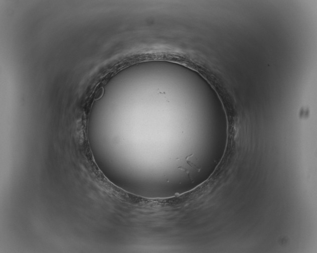 X0000114171493200910151624