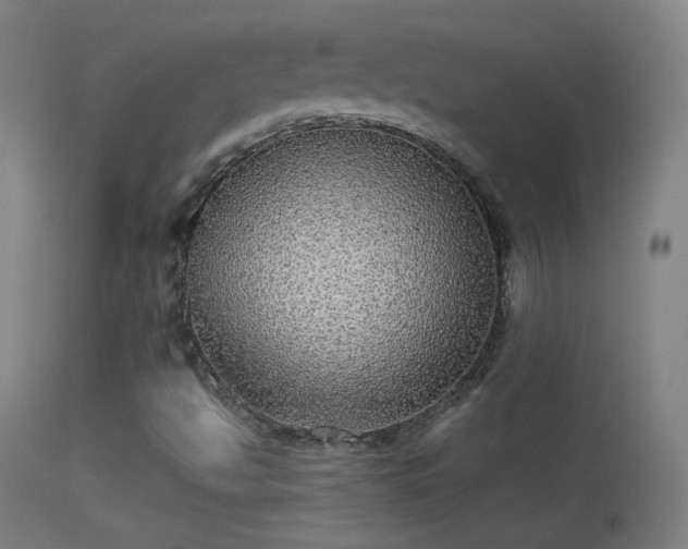 X0000114171494200910151624