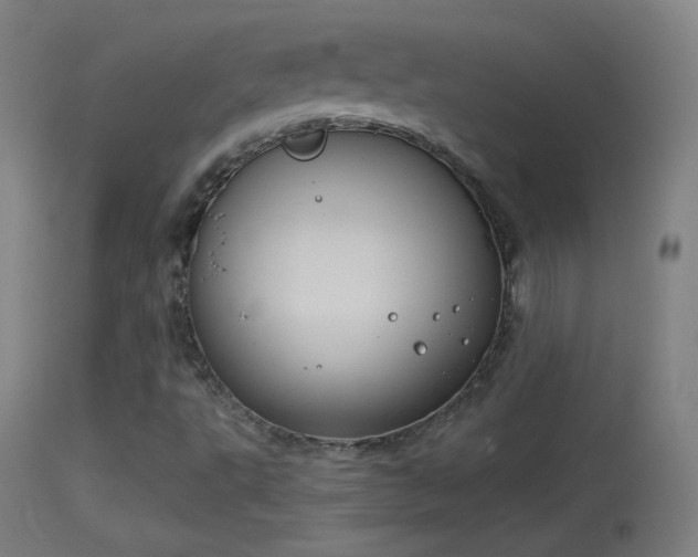 X0000114171495200910151624