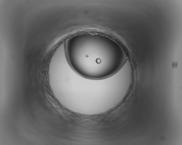 X0000114171496200910151624