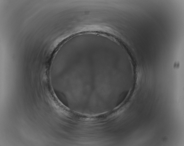 X0000114171497200910151624