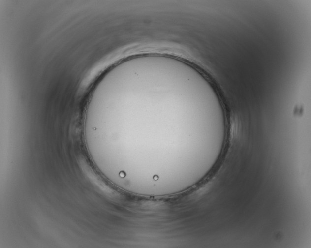 X0000114171498200910151624