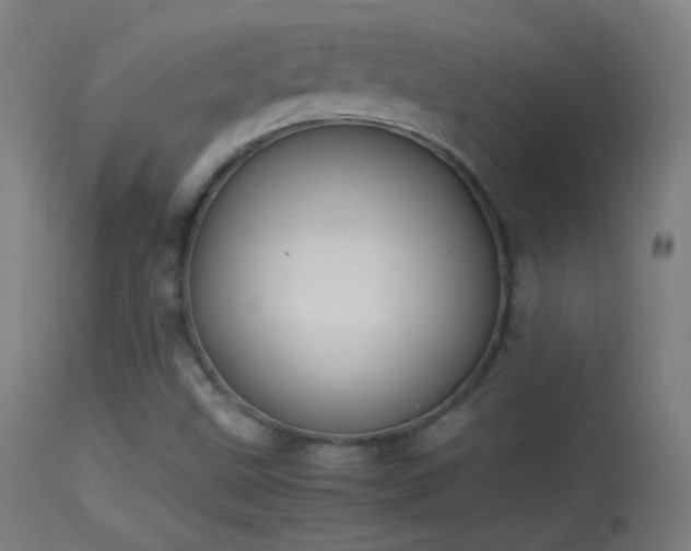 X0000114171499200910151624