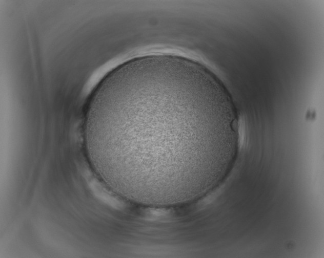 X0000114171501200910151624