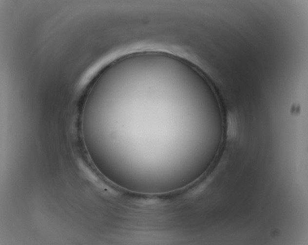 X0000114171502200910151624