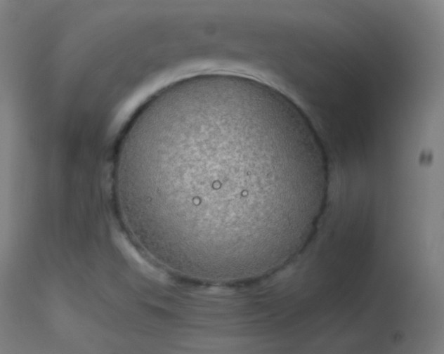 X0000114171503200910151625