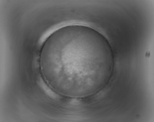 X0000114171504200910151625