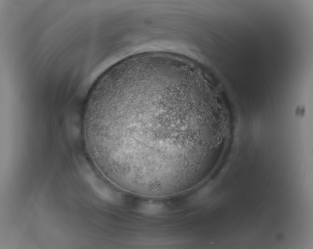 X0000114171505200910151625
