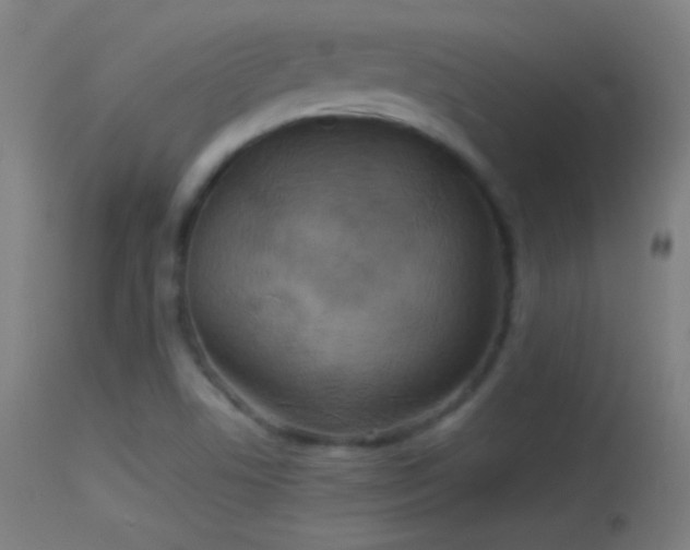 X0000114171506200910151625