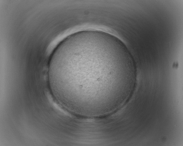 X0000114171507200910151625