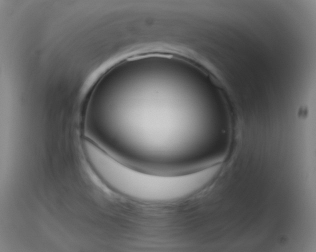 X0000114171508200910151625