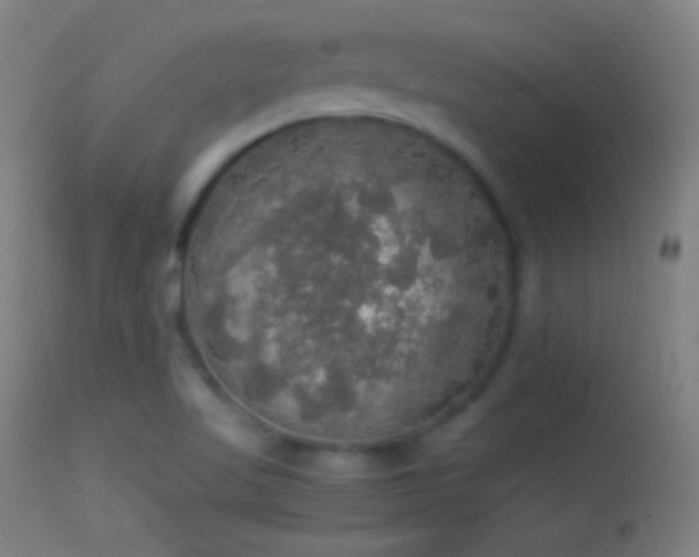 X0000114171509200910151625