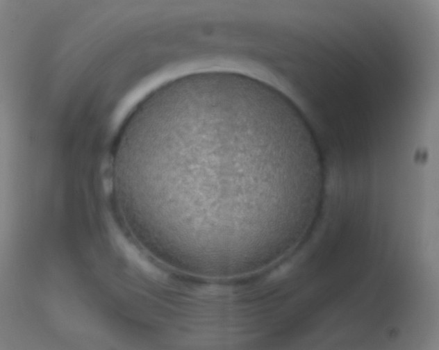 X0000114171510200910151625