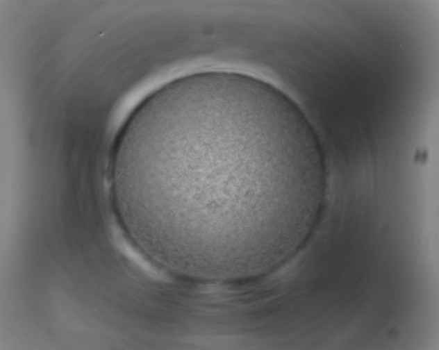 X0000114171511200910151625