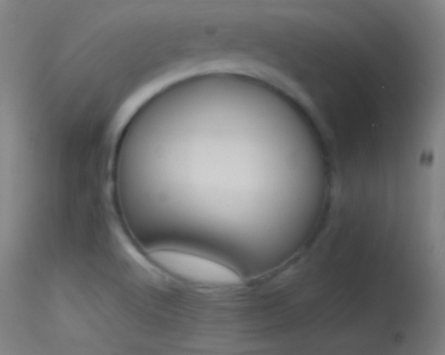 X0000114171512200910151625