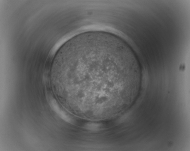 X0000114171513200910151625