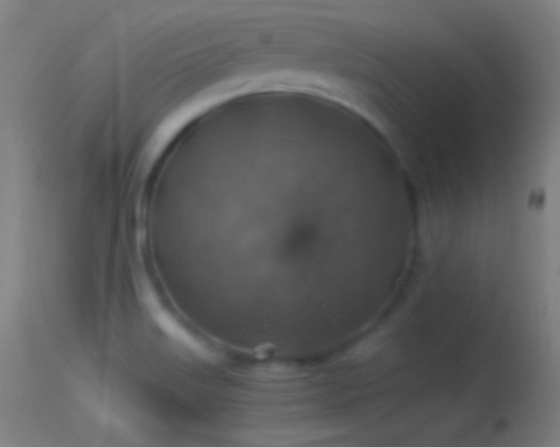 X0000114171515200910151625