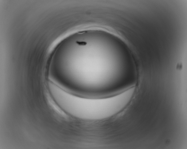 X0000114171518200910151625