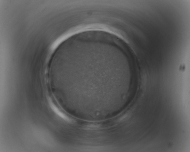 X0000114171519200910151625