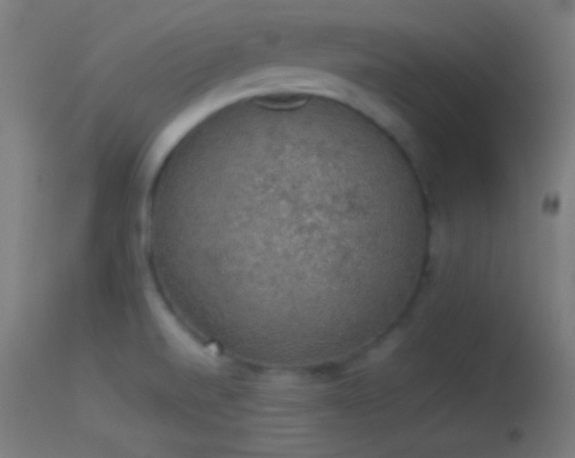 X0000114171520200910151625