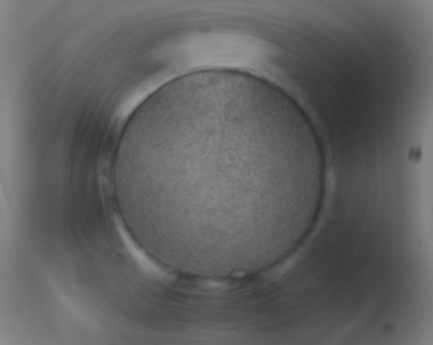 X0000114171521200910151625