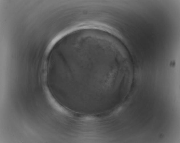 X0000114171522200910151625