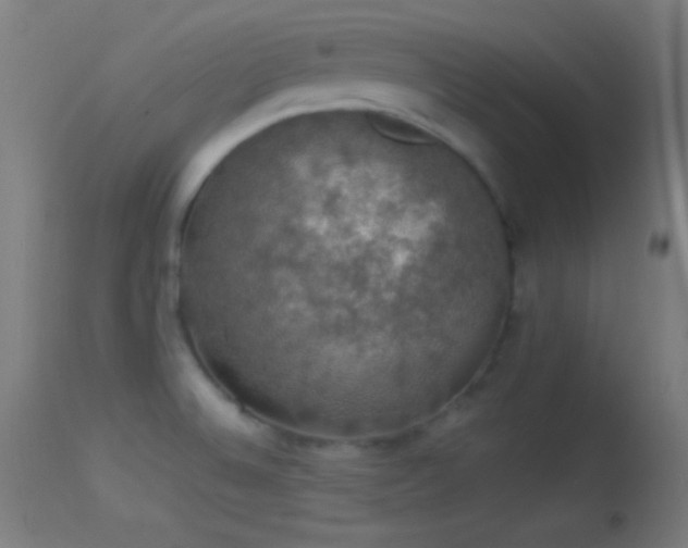 X0000114171524200910151625