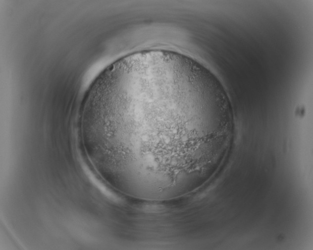 X0000114171525200910151625