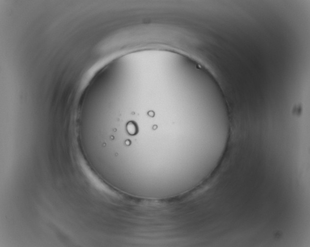 X0000114171526200910151625