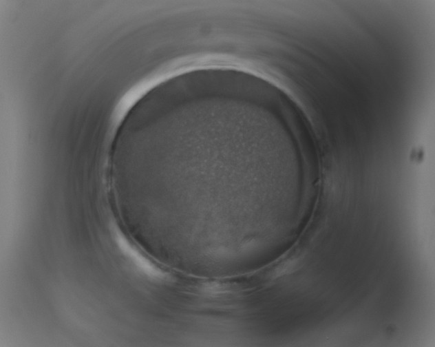 X0000114171527200910151625