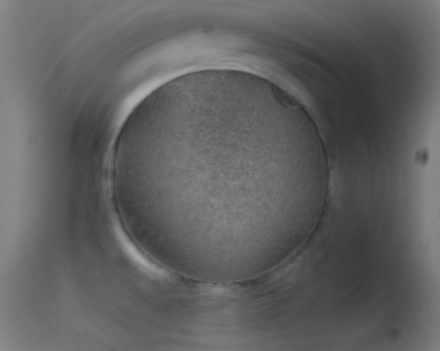 X0000114171528200910151625